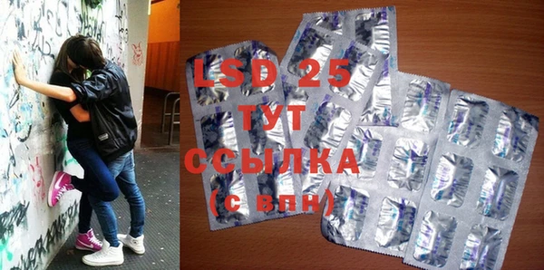 шишки Баксан