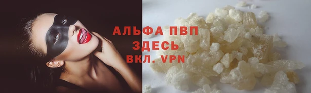 шишки Баксан