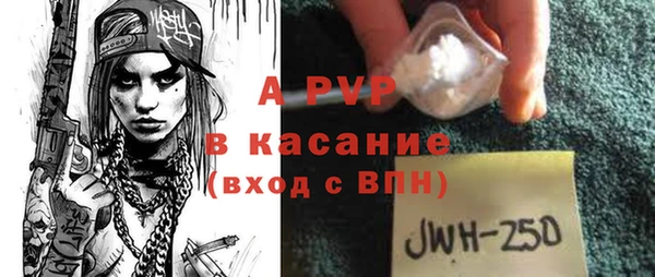 шишки Баксан